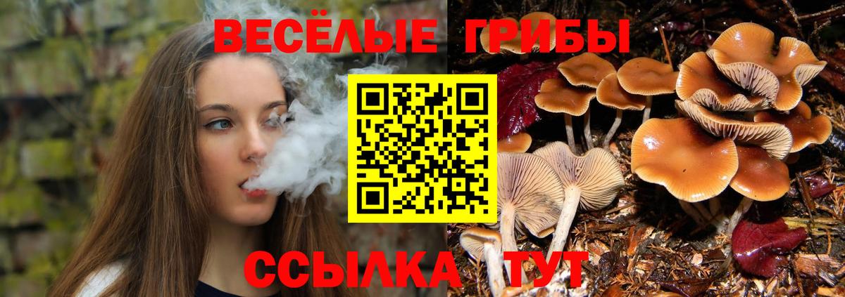 Галлюциногенные грибы GOLDEN TEACHER Миасс
